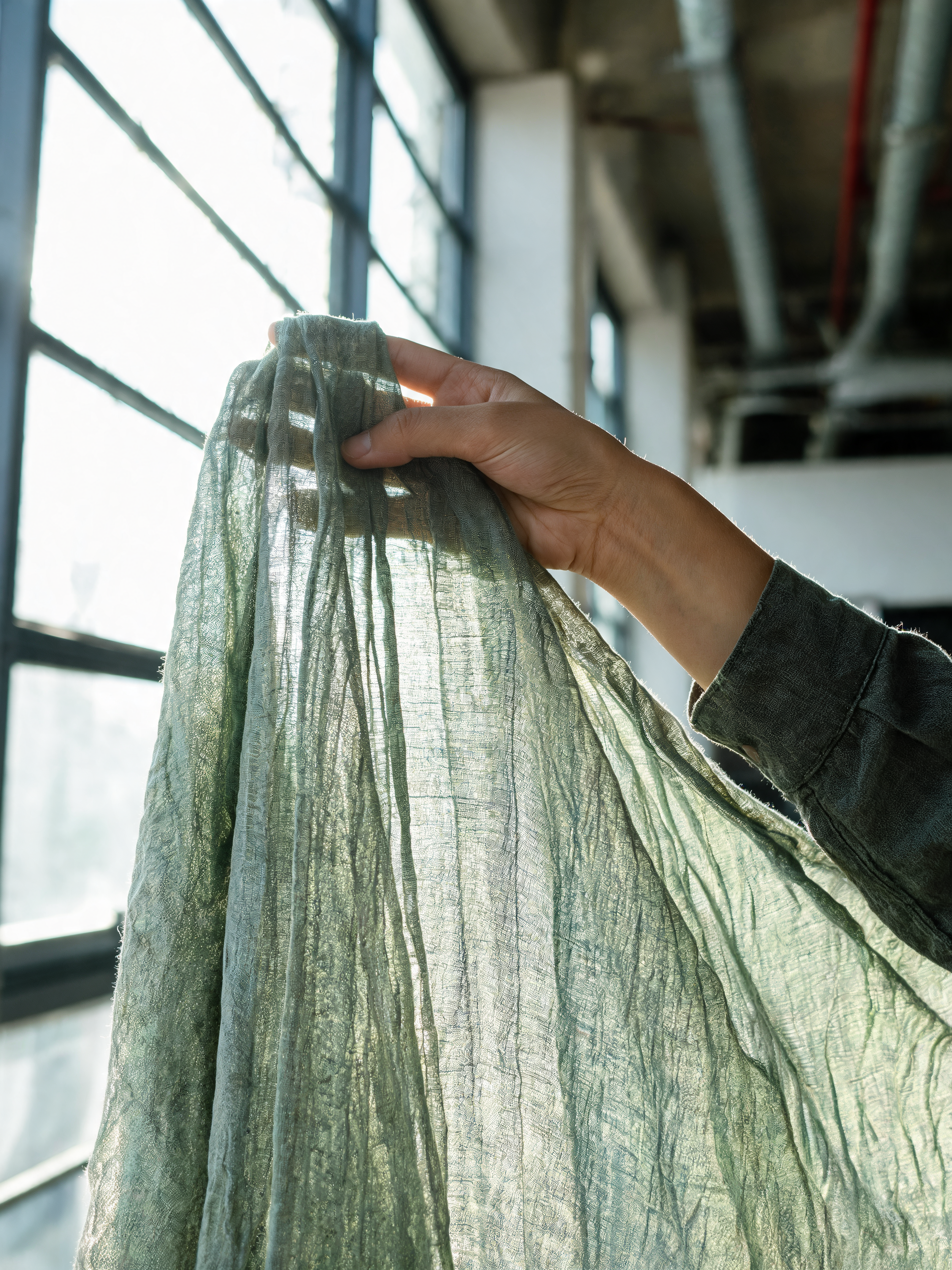 Main tenant tissu vert sauge translucide drapé contre lumière – fenêtres industrielles, loft