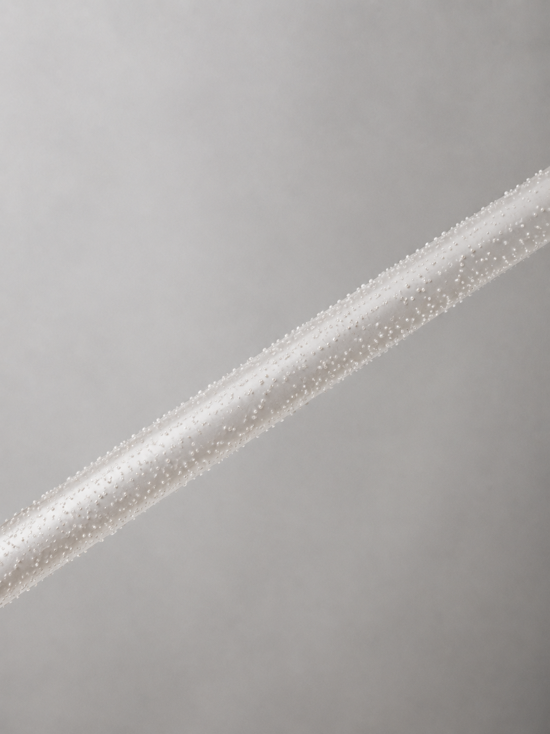 Tige fine recouverte de micro-perles sur toute sa longueur, composition diagonale minimaliste fond gris