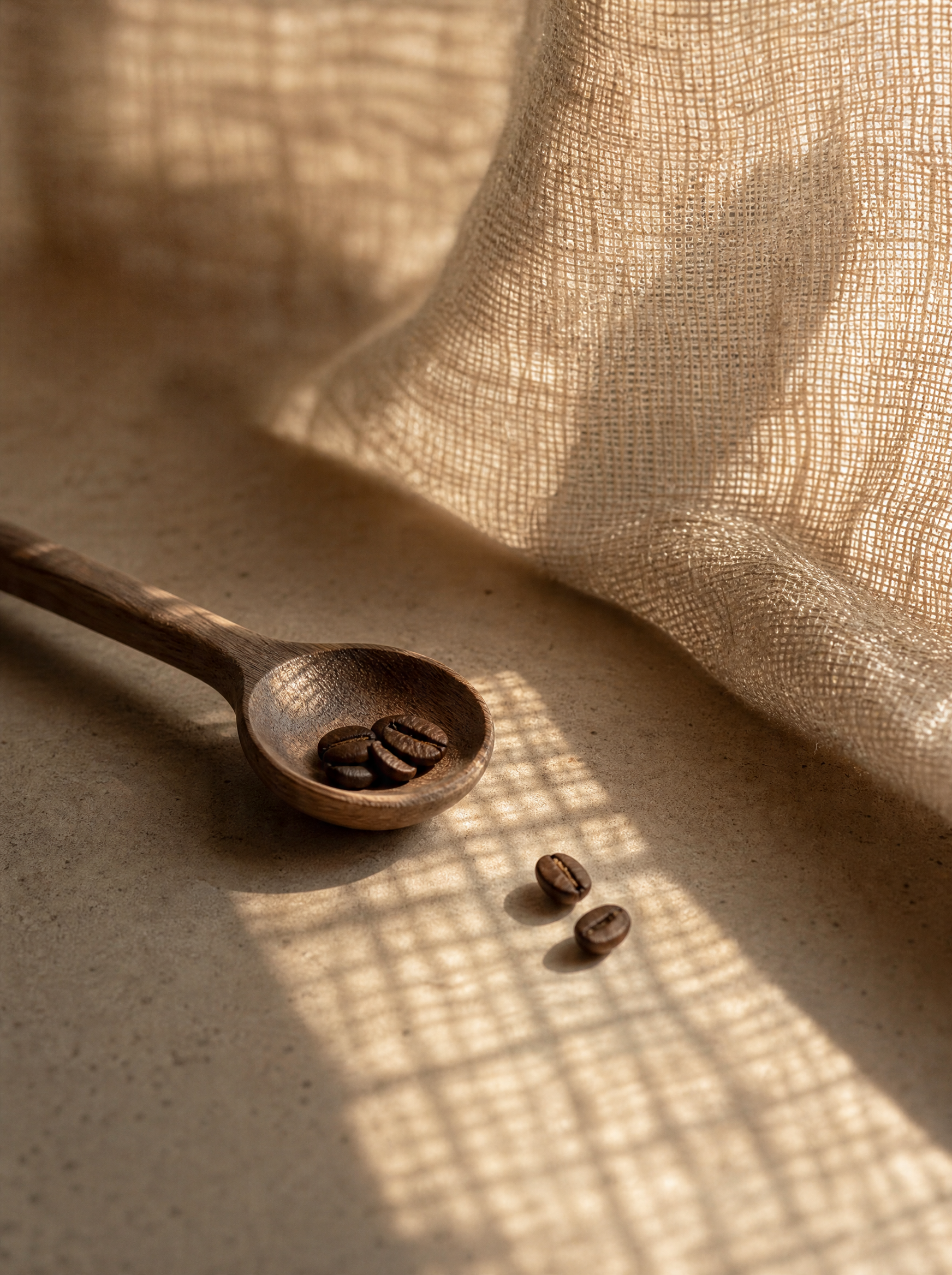 Cuillère bois avec grains de café – fond beige, rideau lin, lumière quadrillée, composition épurée