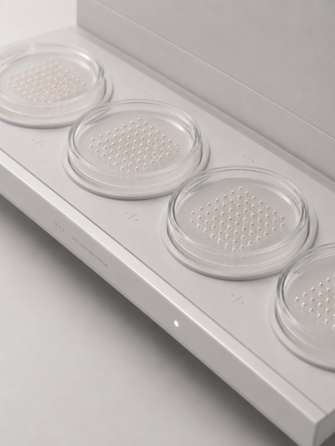 Plateau de laboratoire avec quatre boîtes de Petri contenant des perles disposées en motifs nacrés ordonnés