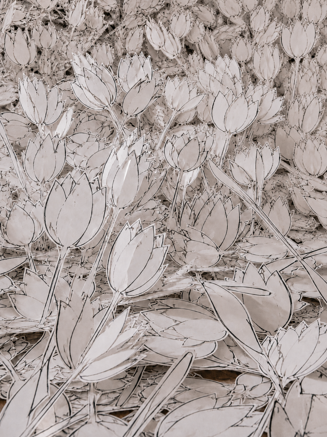 Très gros plan tulipes en papier découpé – illustration noir et blanc, accumulation florale