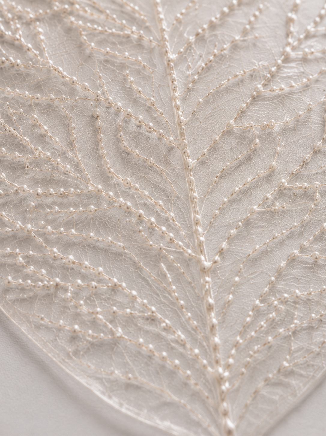 Gros plan macro sur nervures de feuille squelette brodées de seed pearls, détail botanique nacré