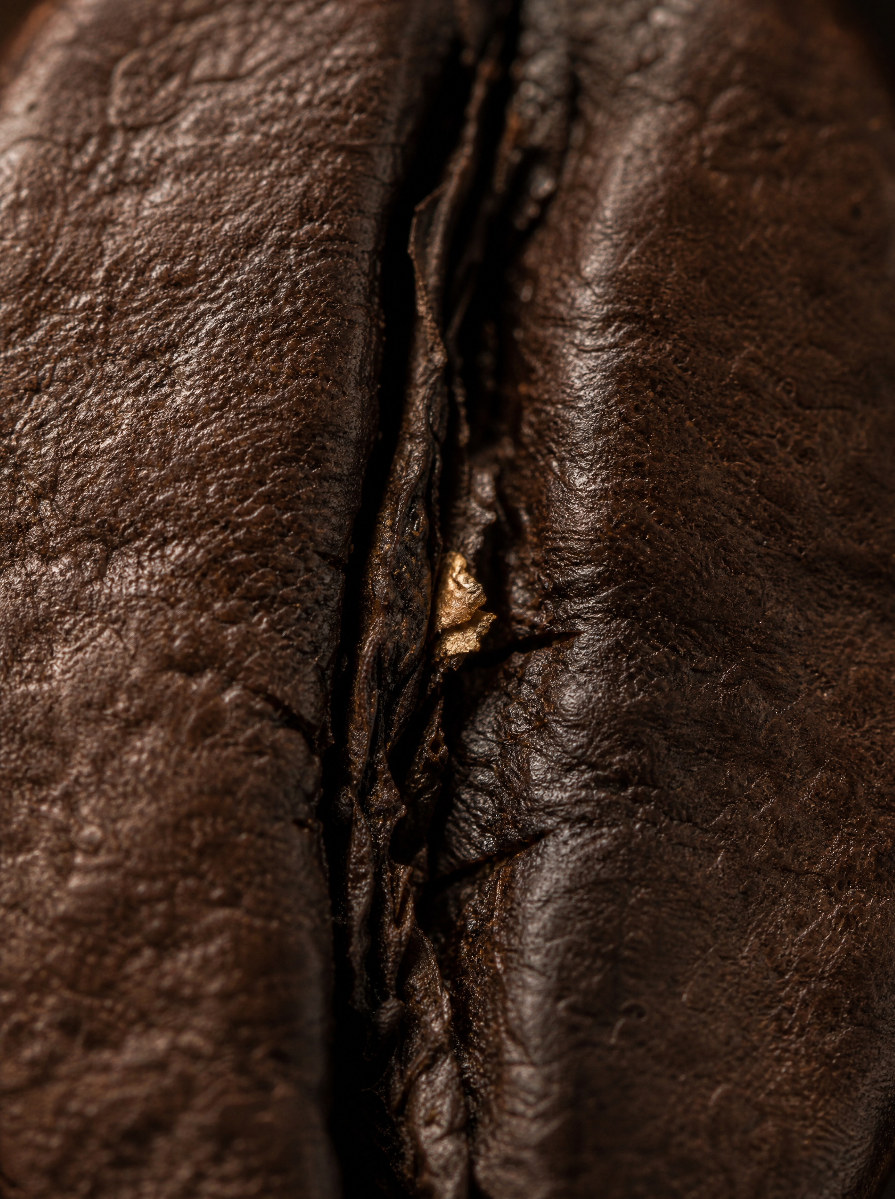 Gros plan macro grain de café torréfié – texture de surface, fissure centrale, brun profond