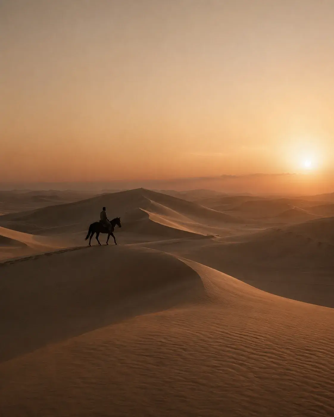 Cavalier et cheval au sommet de grande dune – coucher de soleil solaire, paysage dunes, Sahara