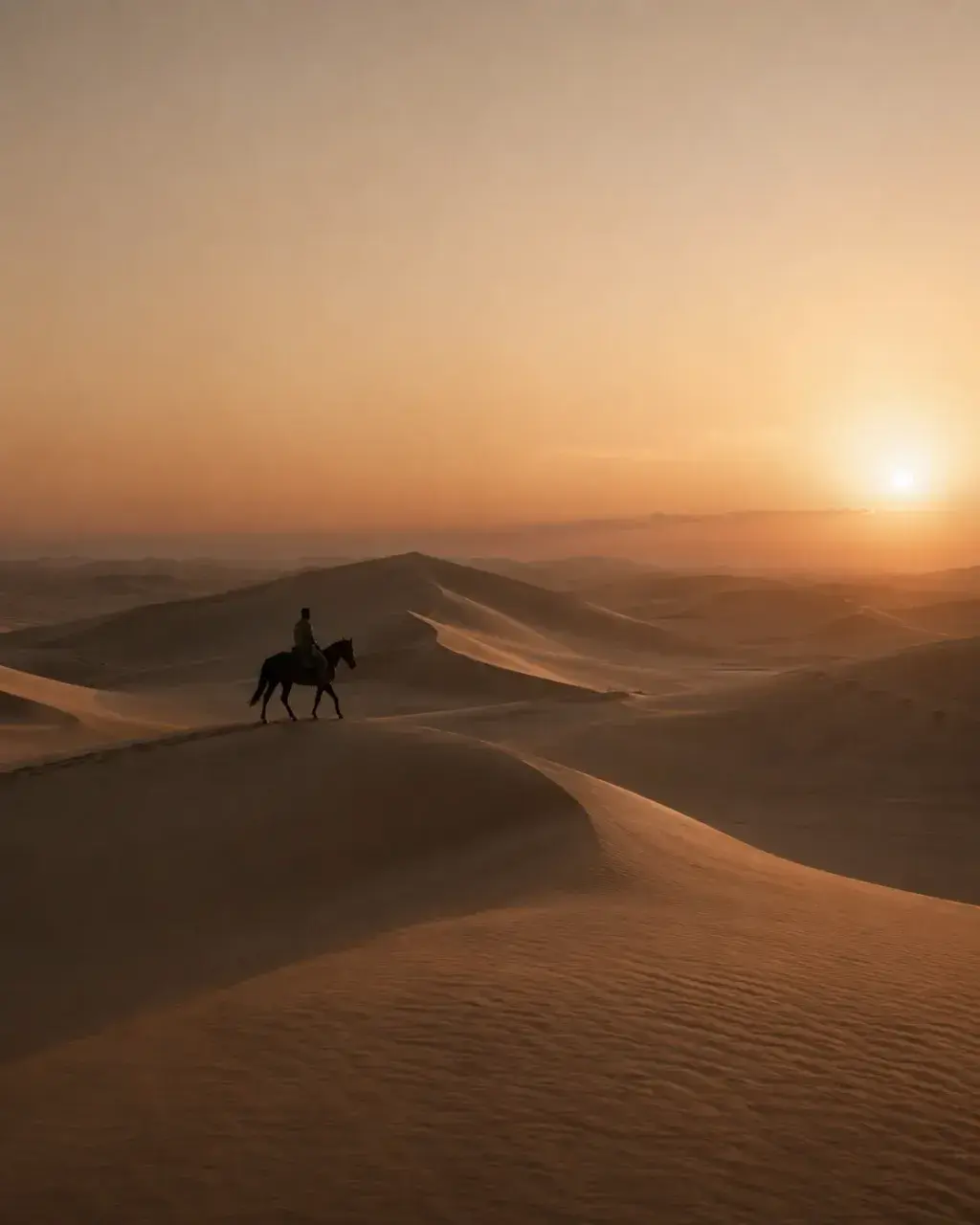 Cavalier et cheval au sommet de grande dune – coucher de soleil solaire, paysage dunes, Sahara