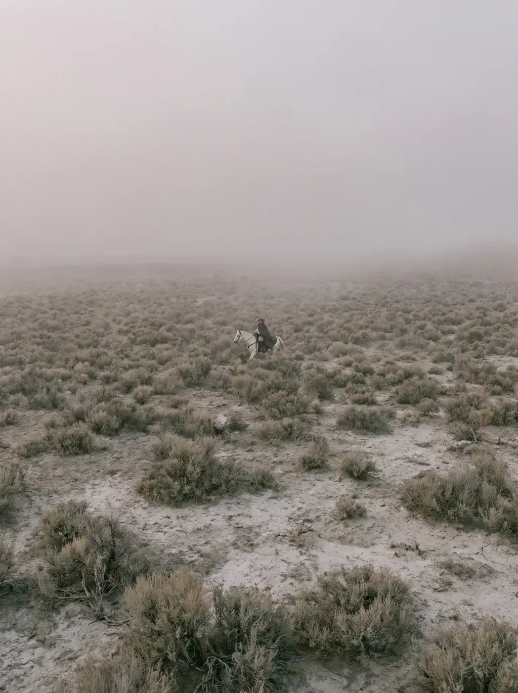 Cavalier minuscule sur cheval blanc traversant un désert broussailleux sous un ciel blanc brumeux
