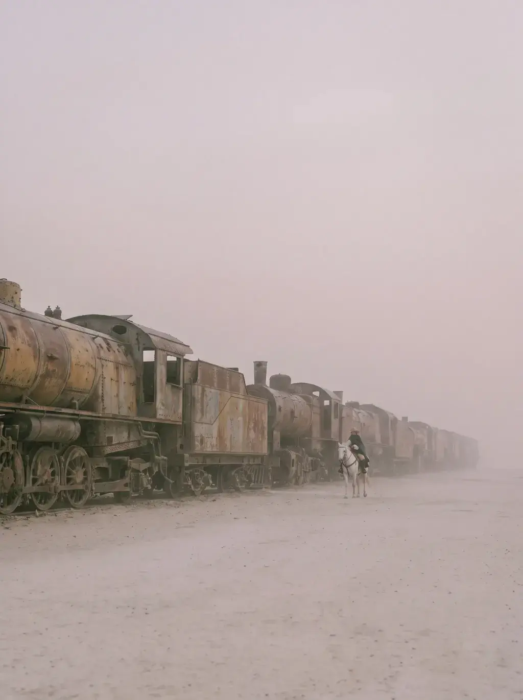 Cavalière sur cheval blanc longeant des locomotives rouillées abandonnées dans la brume rose