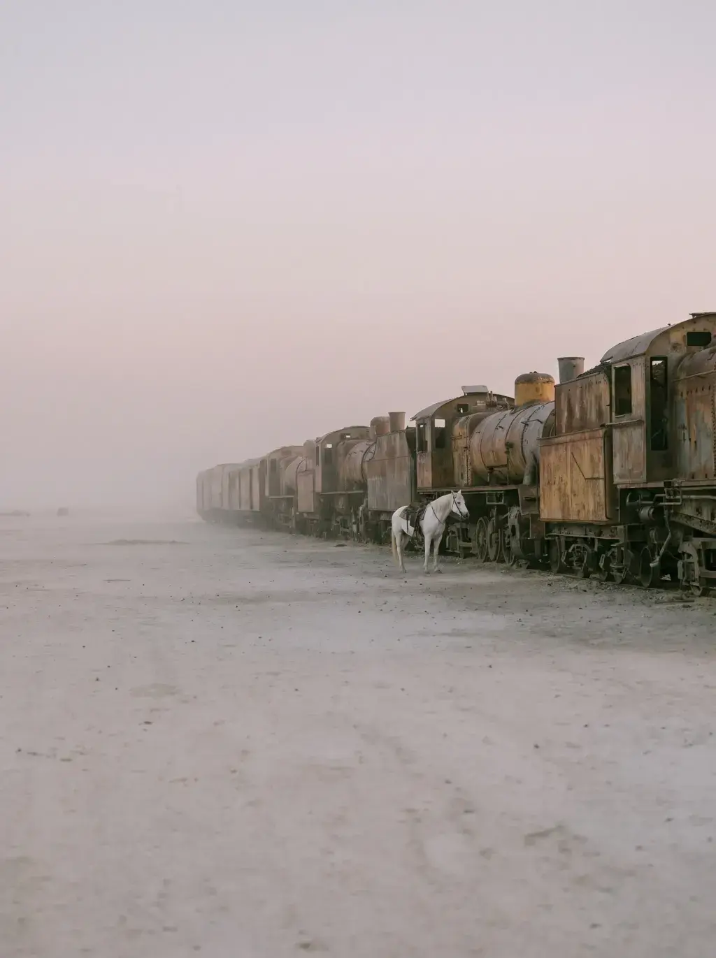 Cheval blanc seul devant des locomotives à vapeur rouillées abandonnées dans le désert au crépuscule