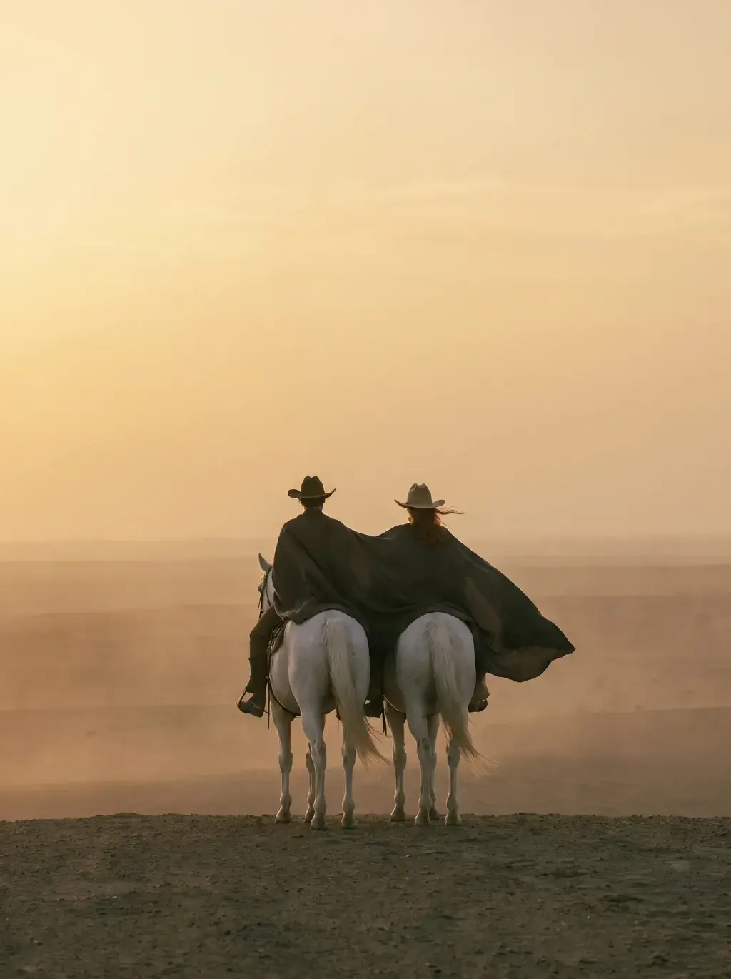 Deux cavalières de dos sur leurs chevaux blancs face à un coucher de soleil doré dans le désert