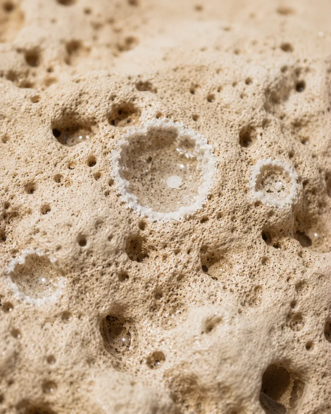 Gros plan éponge naturelle – alvéoles profondes et texture organique sable beige