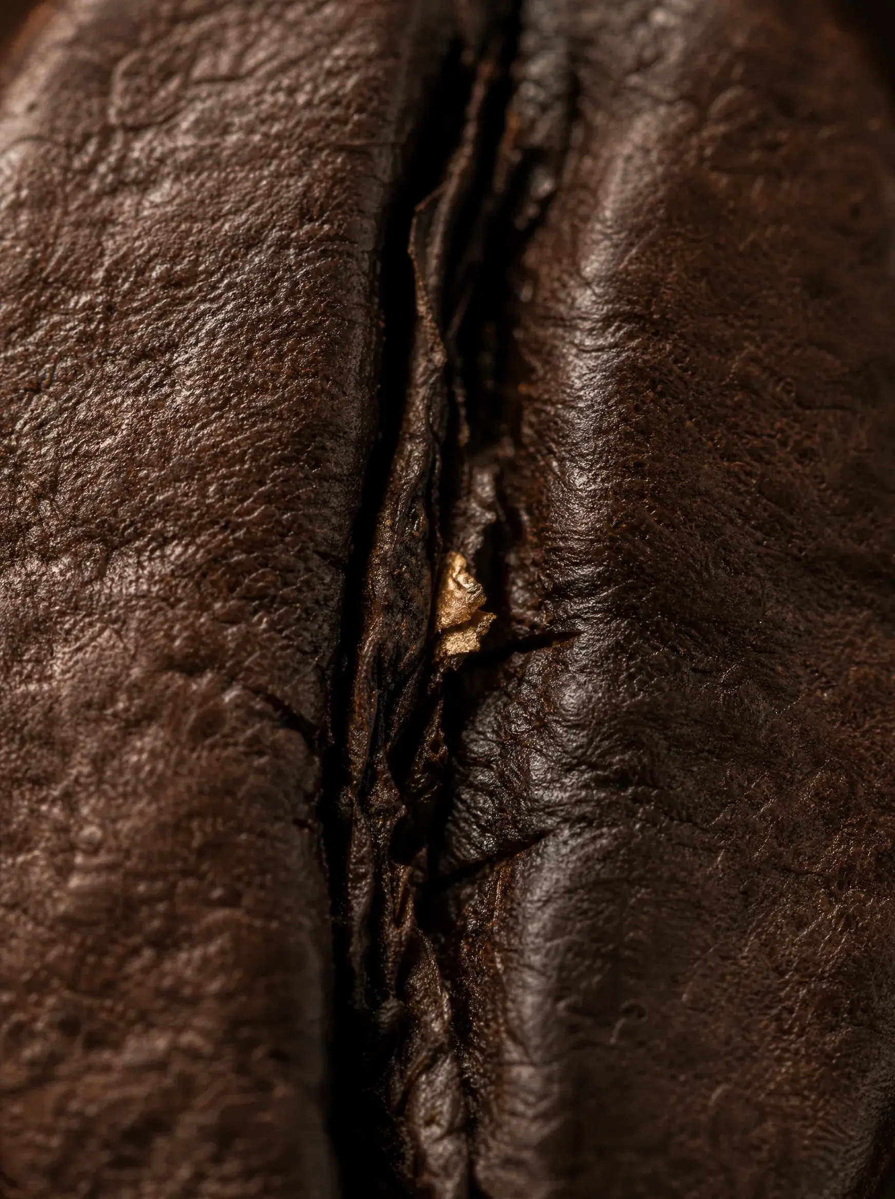 Gros plan macro grain de café torréfié – texture de surface, fissure centrale, brun profond