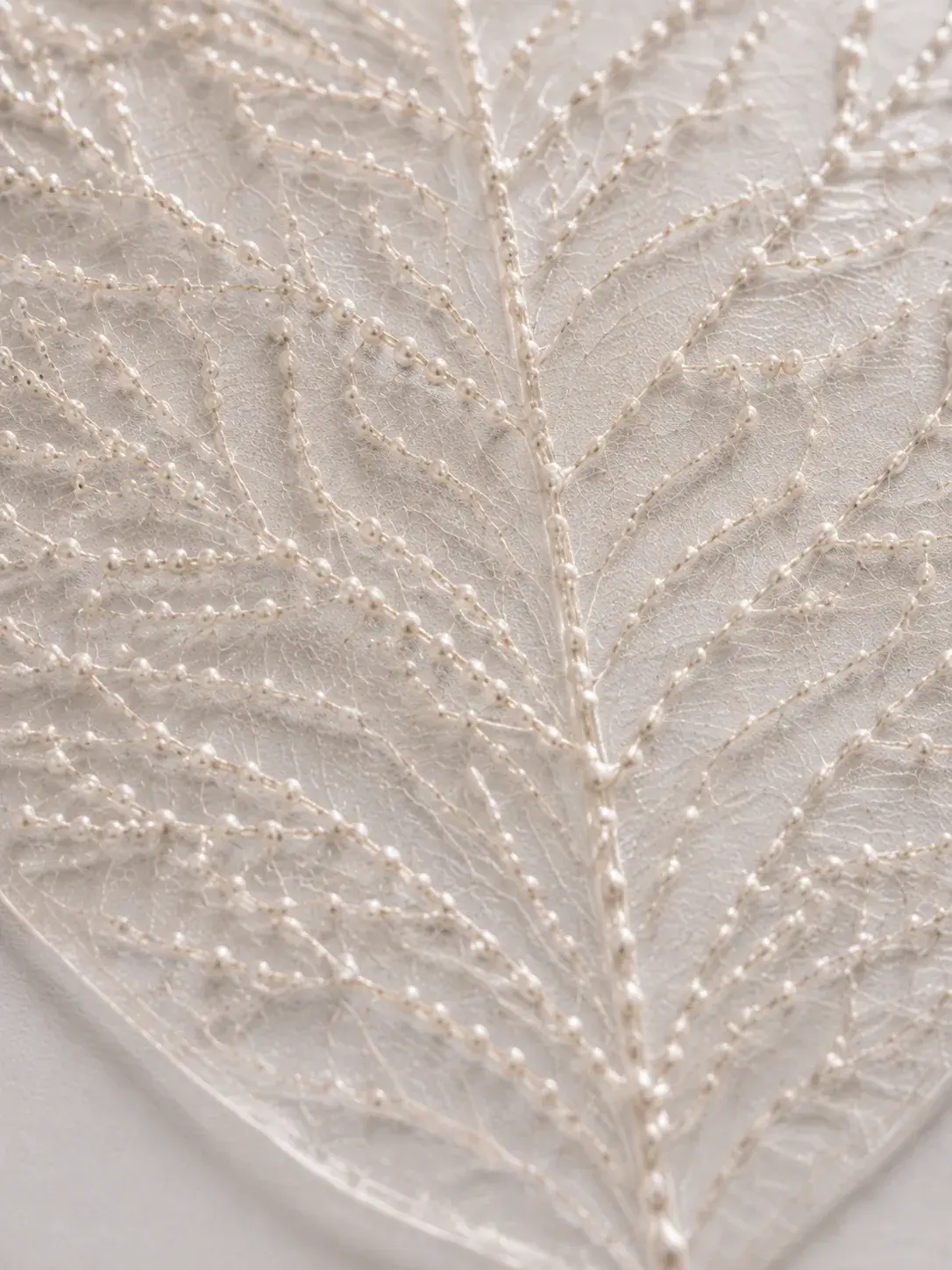 Gros plan macro sur nervures de feuille squelette brodées de seed pearls, détail botanique nacré
