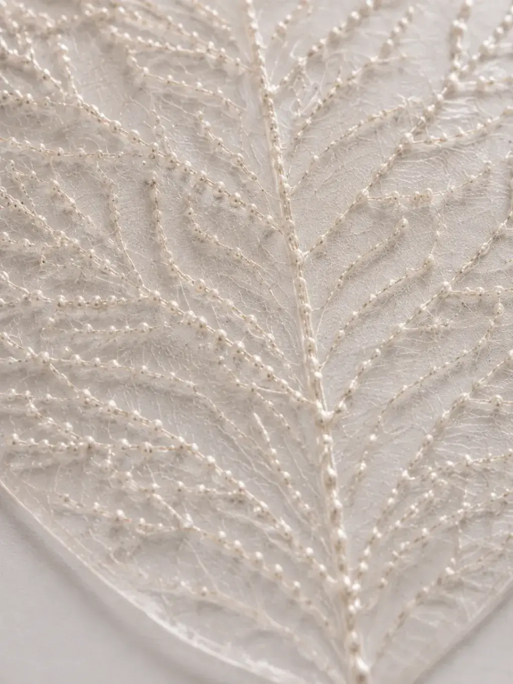 Gros plan macro sur nervures de feuille squelette brodées de seed pearls, détail botanique nacré