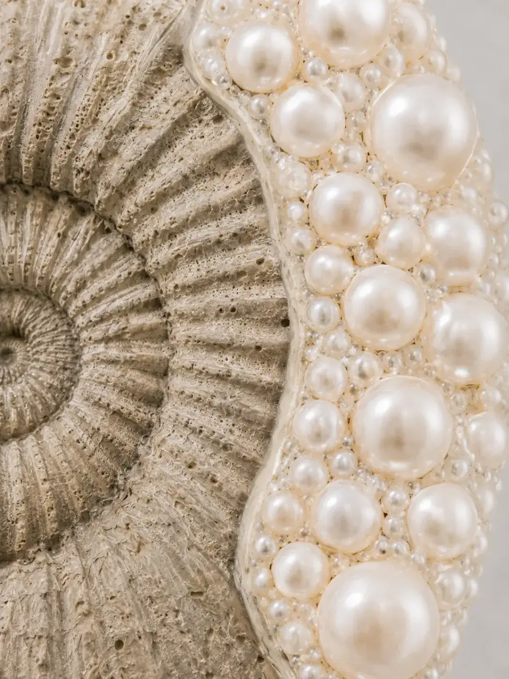 Gros plan sur ammonite incrustée de perles de culture de tailles variées, détail nacre et fossile