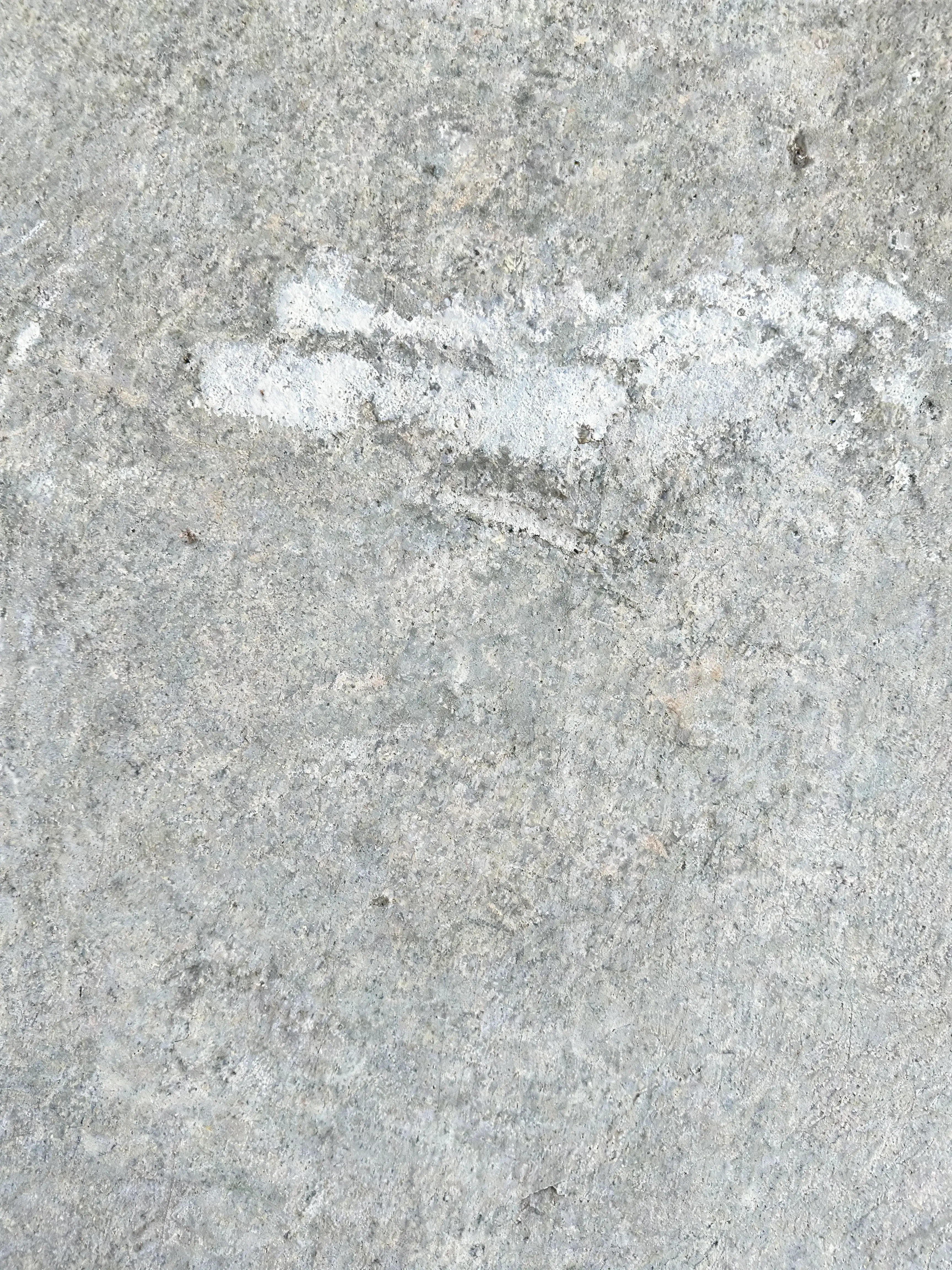Gros plan texture béton gris brut