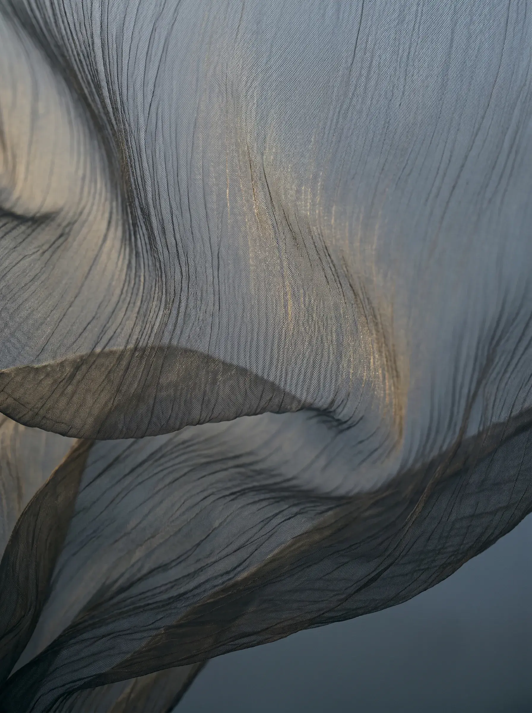 Gros plan texture voile gaze gris pâle avec reflets chauds – plis courbes, fond gris-bleu