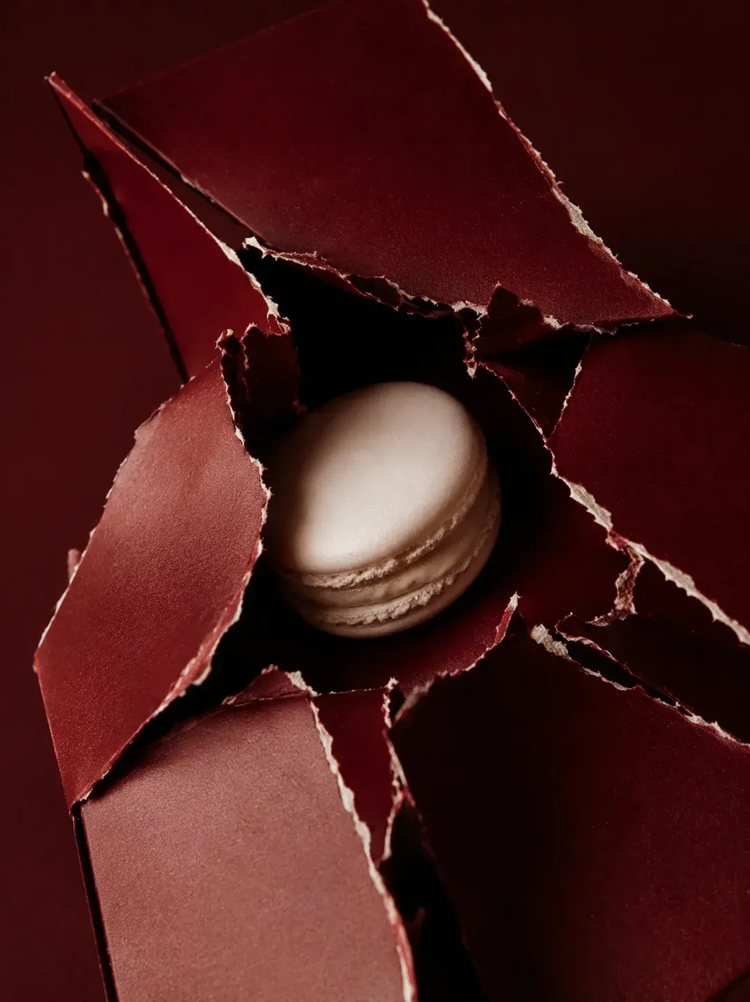 Macaron blanc jaillissant d'emballage bordeaux éclaté – vue de dessus, fond bordeaux sombre
