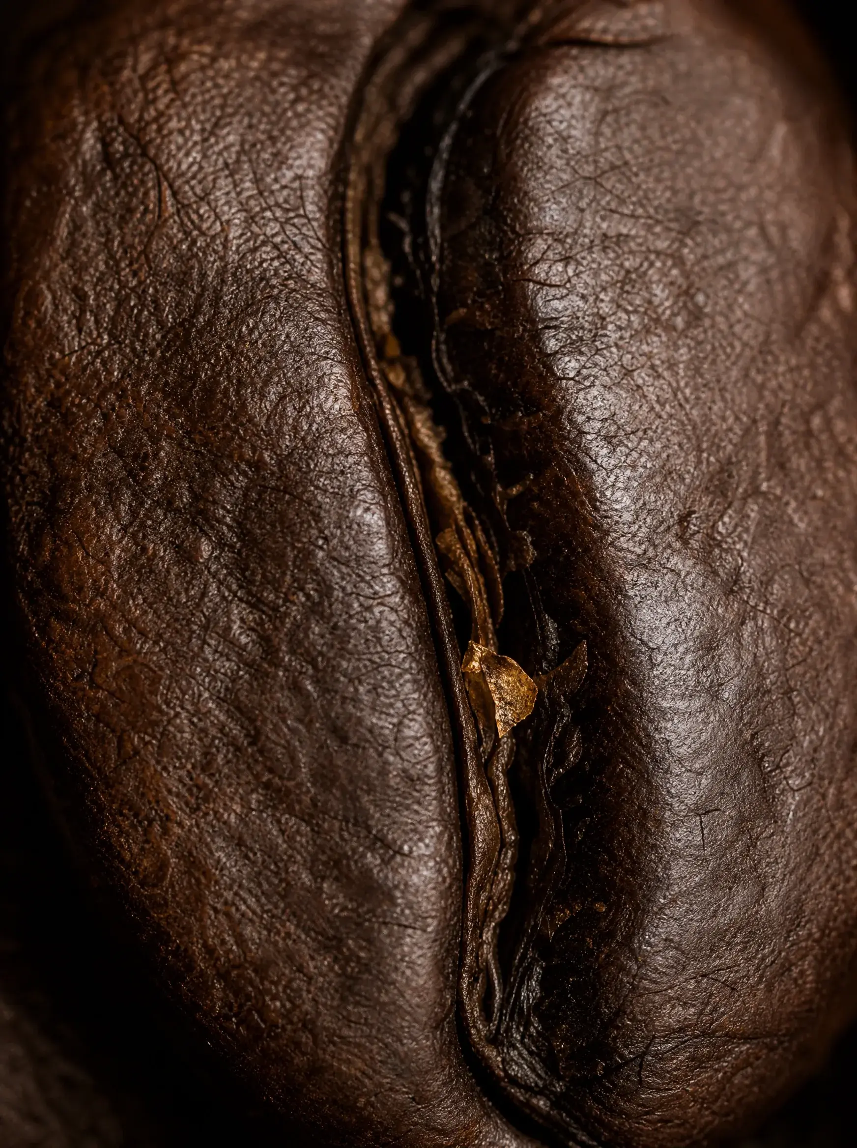Macro gros plan grain de café torréfié très foncé – texture craquelée, fissure, fond noir