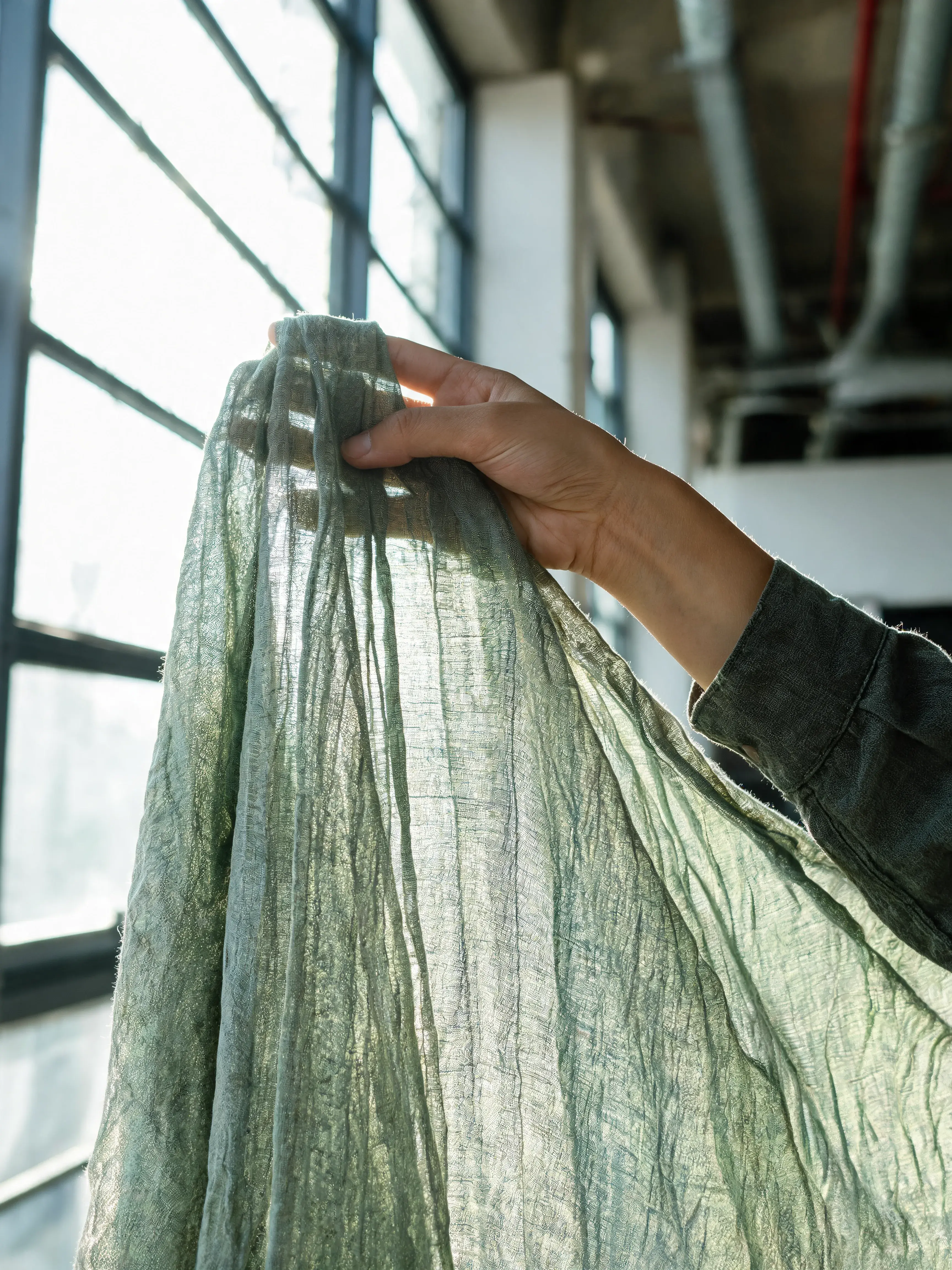 Main tenant tissu vert sauge translucide drapé contre lumière – fenêtres industrielles, loft