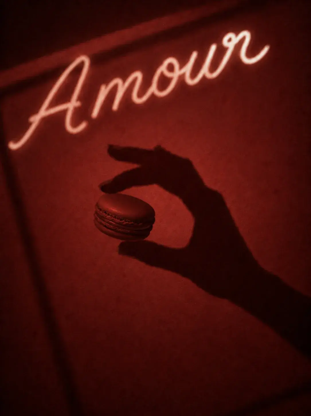 Ombre d'une main tenant un macaron bordeaux sous le néon script « Amour » rouge, fond rouge cramoisi