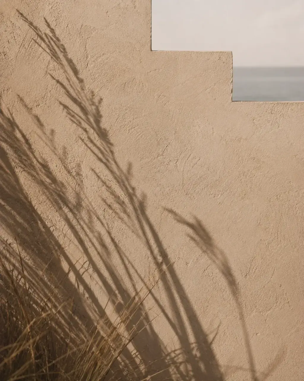 Ombres de graminées projetées sur mur enduit beige – vue mer bleue en fond