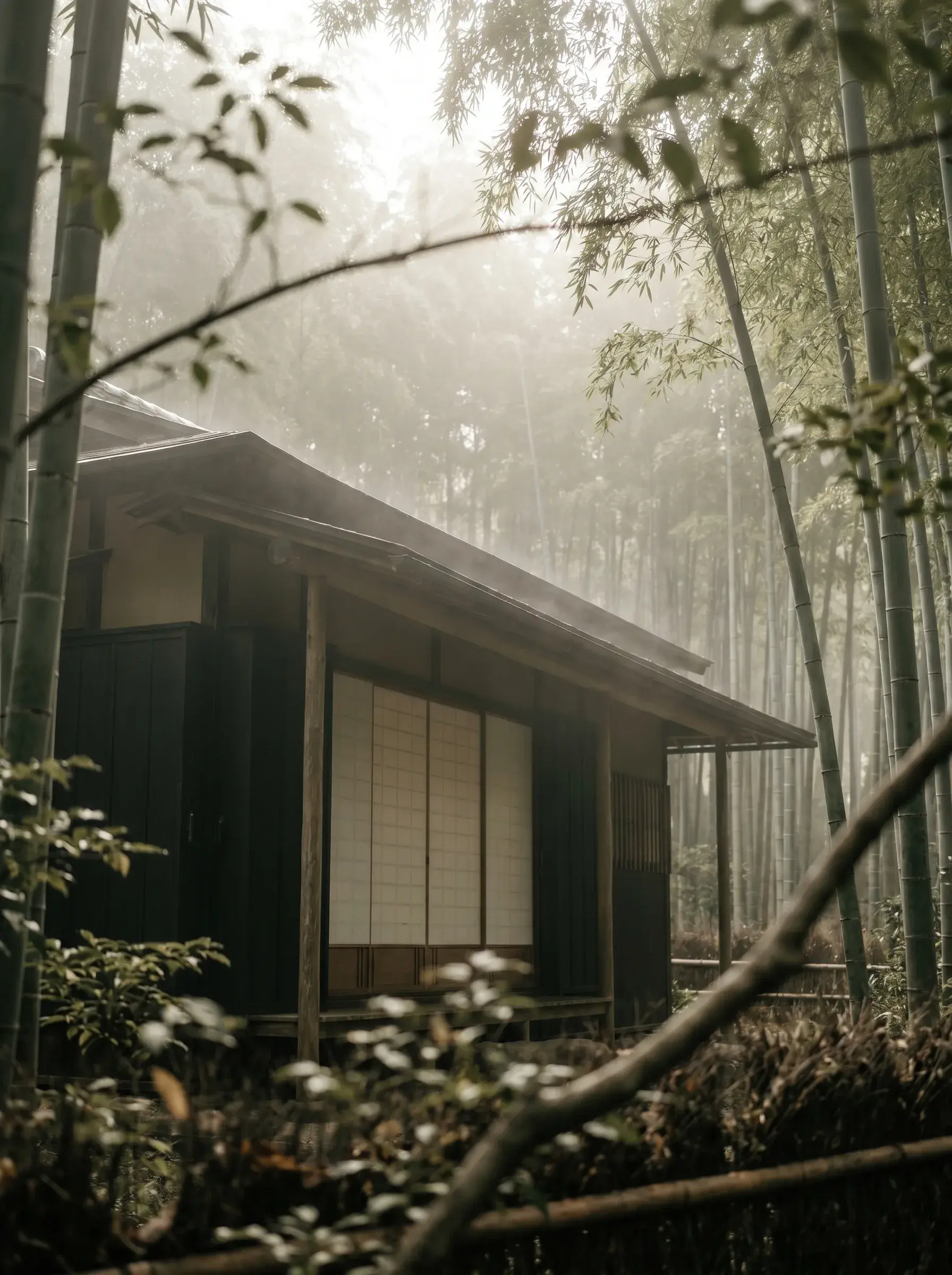 Pavillon japonais traditionnel dans bambouseraie brumeuse – shoji blanc, jardin zen