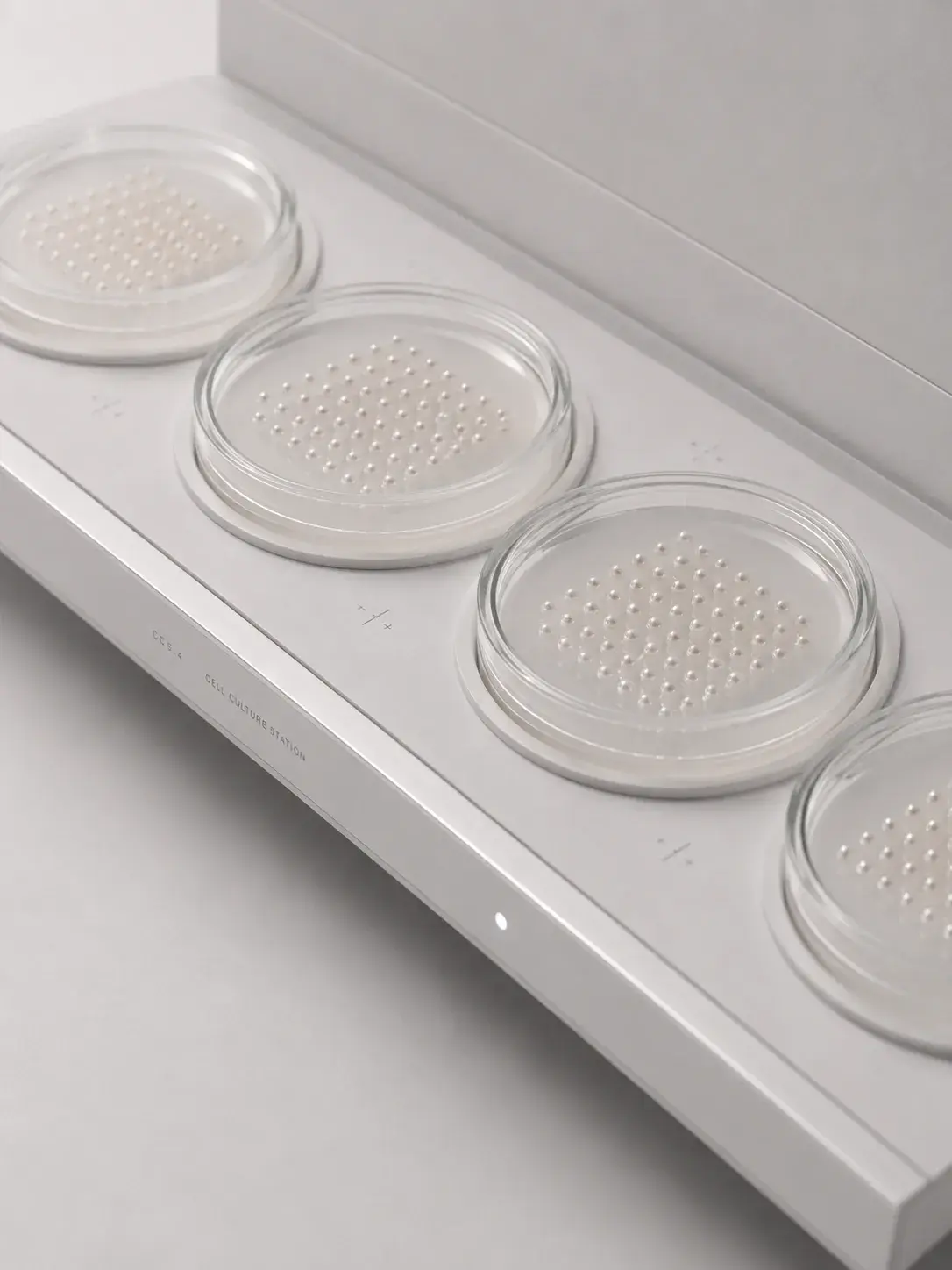 Plateau de laboratoire avec quatre boîtes de Petri contenant des perles disposées en motifs nacrés ordonnés
