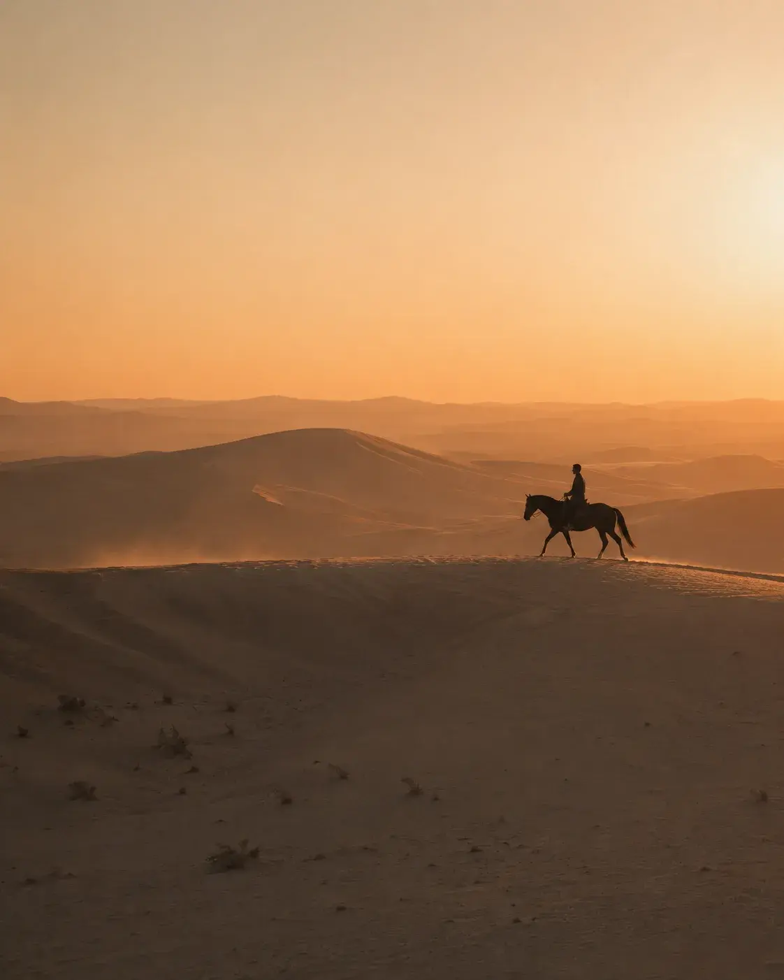 Silhouette cavalier sur crête de dune au coucher de soleil orange – désert, dunes dorées