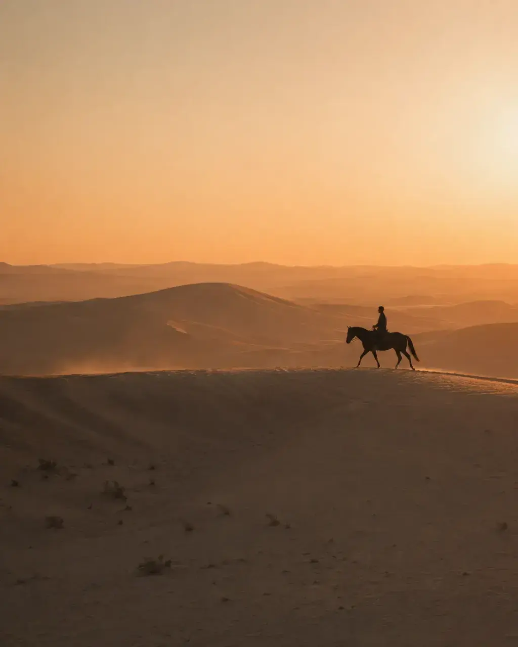 Silhouette cavalier sur crête de dune au coucher de soleil orange – désert, dunes dorées