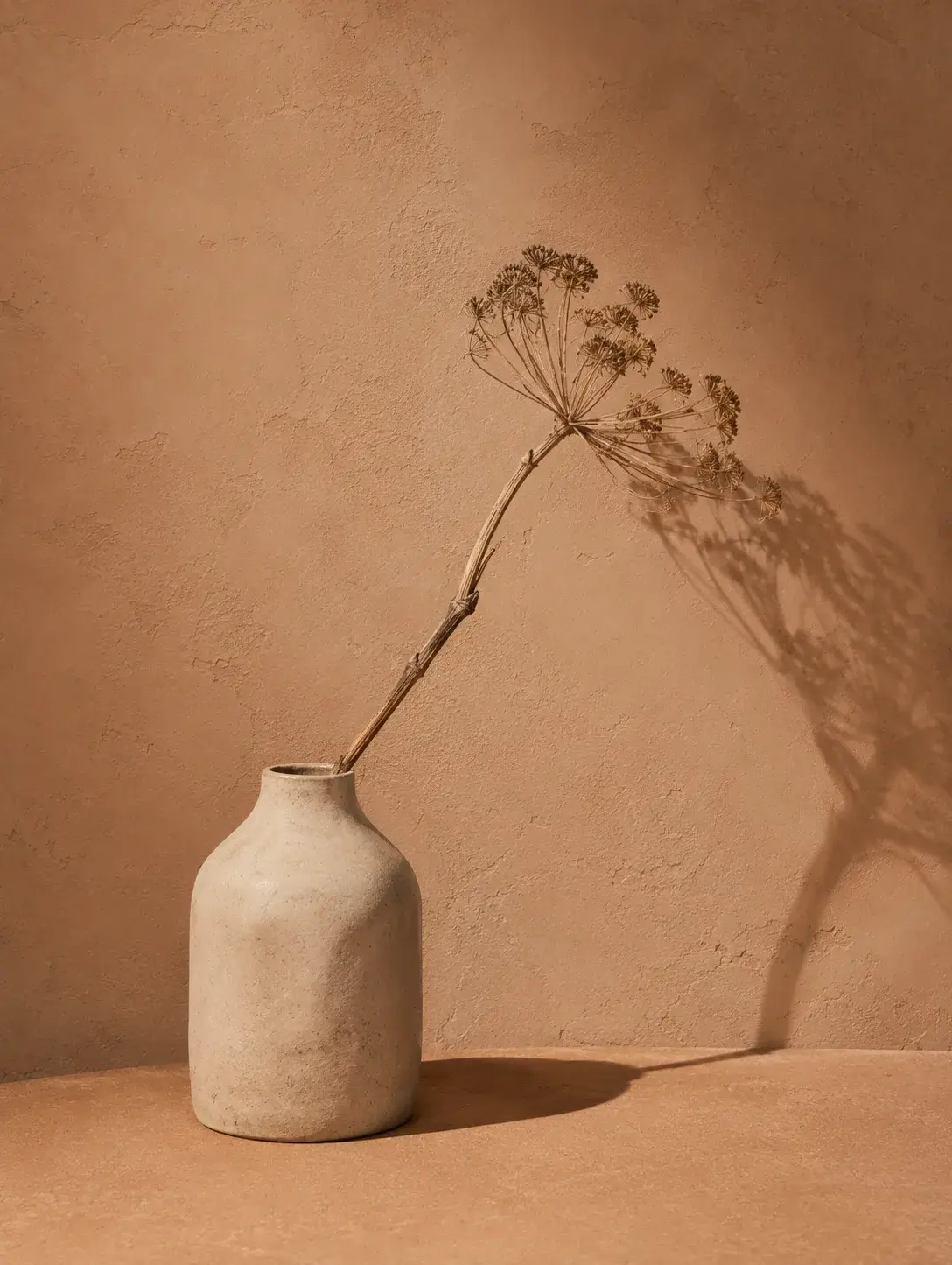 Vase céramique blanc mat avec tige séchée – ombre portée sur mur plâtre ocre, lumière rasante