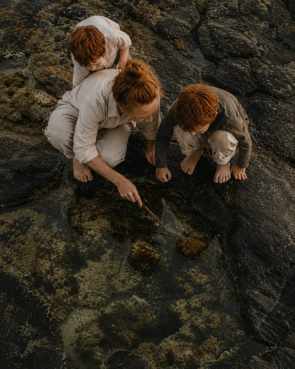 Vue de dessus de la famille explorant les flaques de rochers