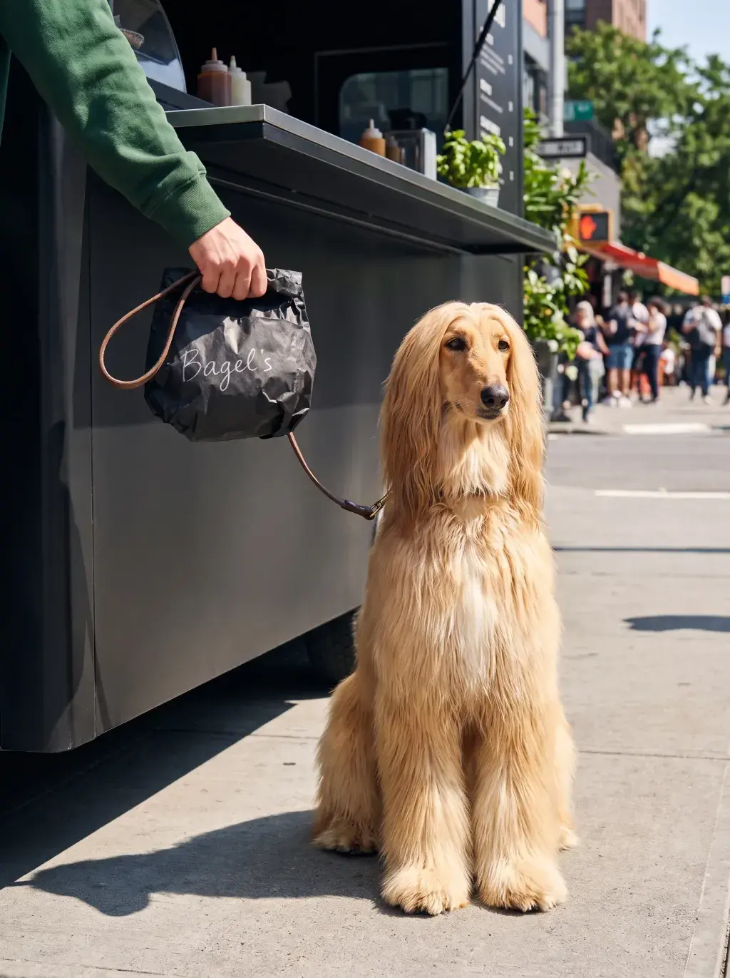 Lévrier afghan blond assis sur un trottoir ensoleillé devant un food truck sombre pendant qu'une main tend un sac Bagel's