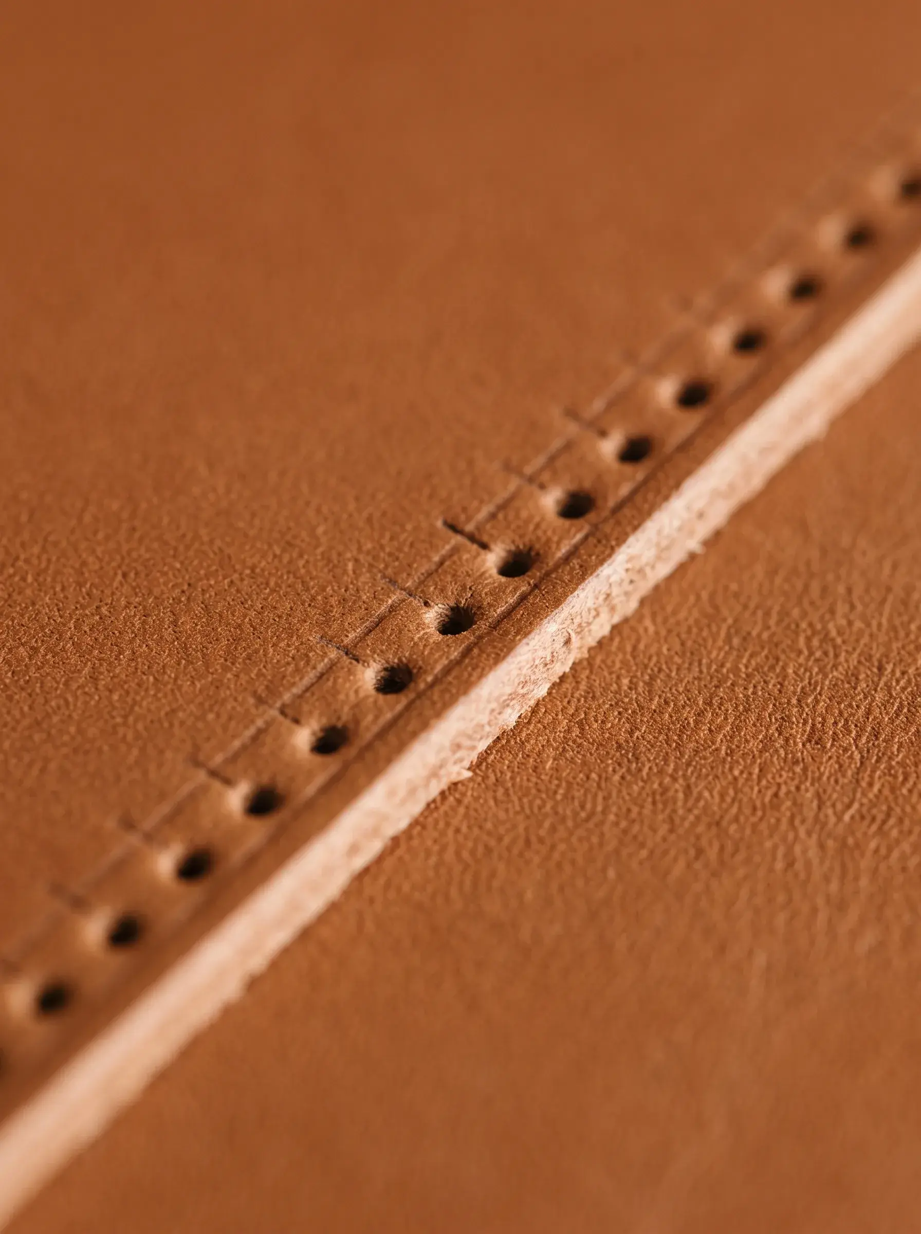 Macro d’une ligne de perforations régulières dans un cuir brun