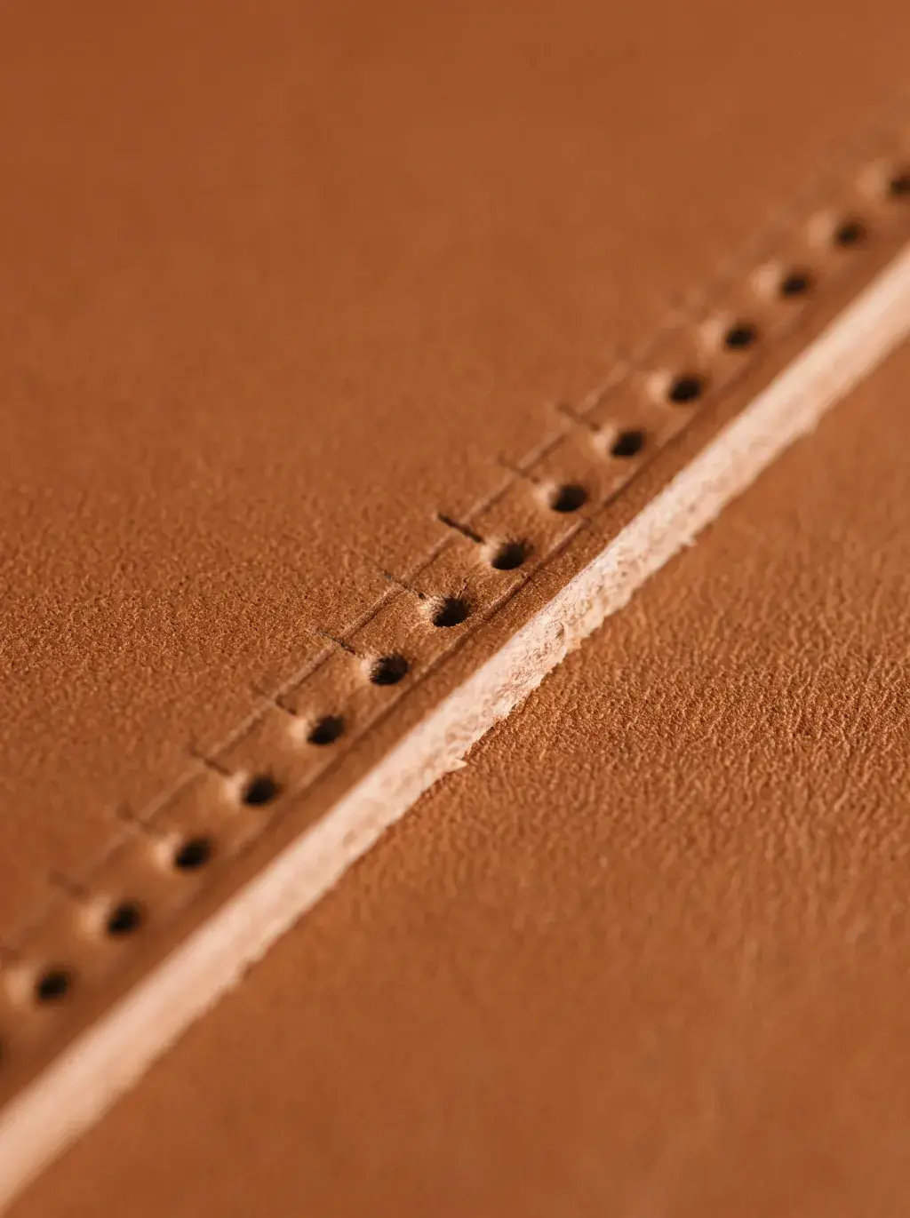 Macro d’une ligne de perforations régulières dans un cuir brun