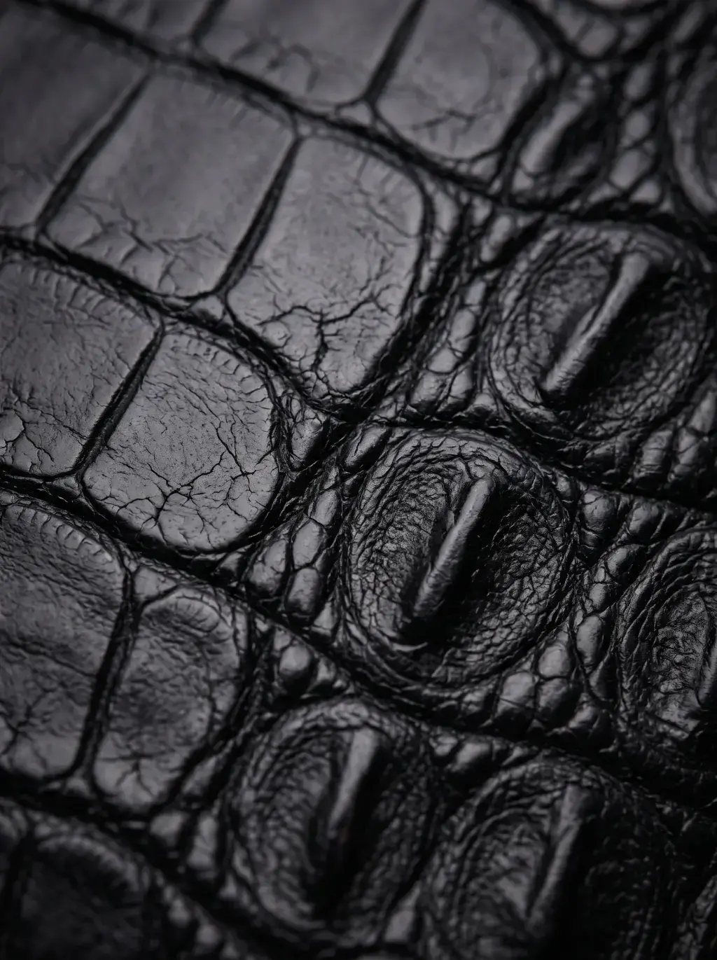 Macro d’un cuir noir crocodile aux reliefs profonds et brillants